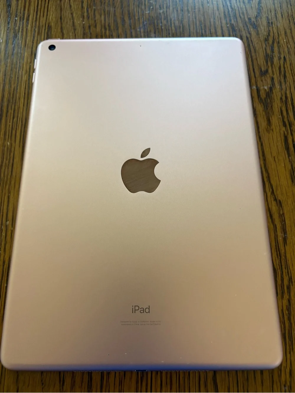 Apple this ipad